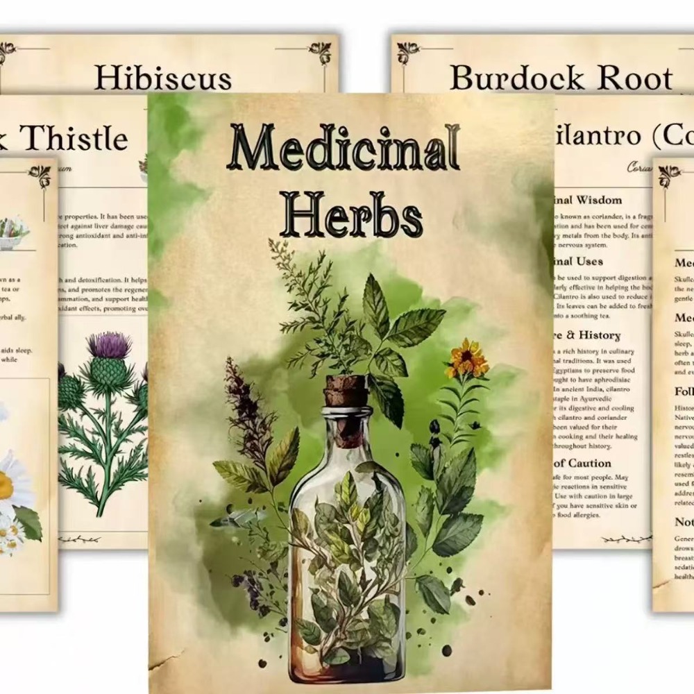 Herbal Wellness - Medizinische Kräuter: Visueller Leitfaden zur Identifizierung