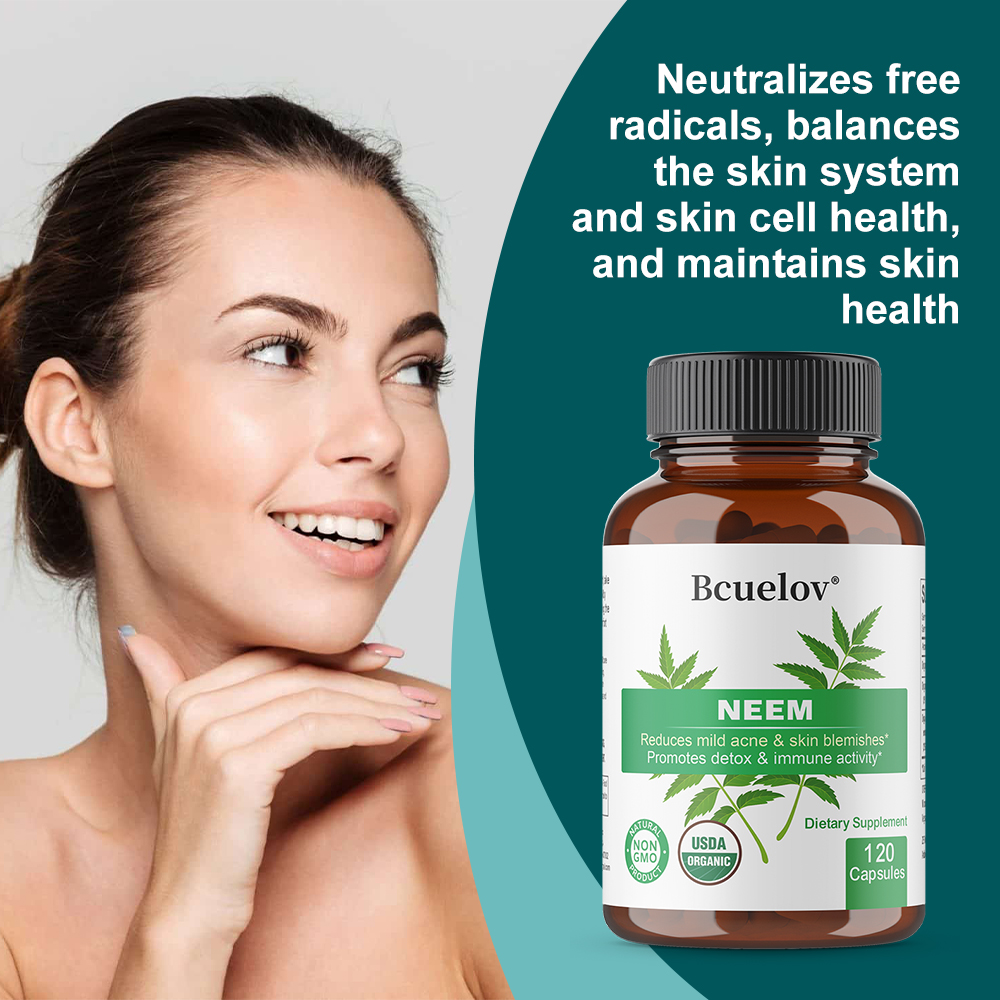 Bio-Neemblatt-Kapseln, Pflanzl – Herbal Wellness Bewertung und Preis