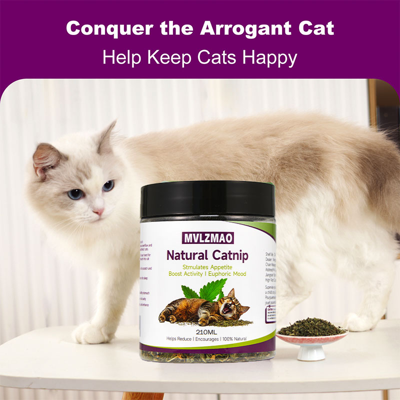 Katzenspielzeug – Silvervine-K – Nettle Leaf Tea Bewertung und Preis