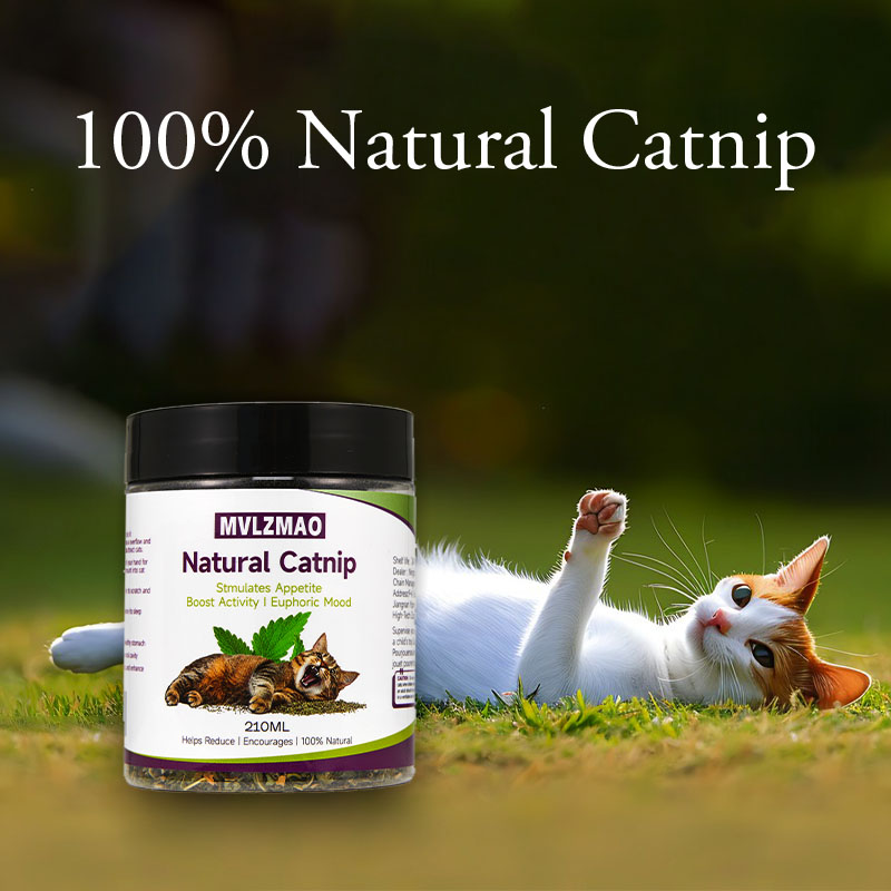 Katzenspielzeug – Silvervine-K – Nettle Leaf Tea Bewertung und Preis