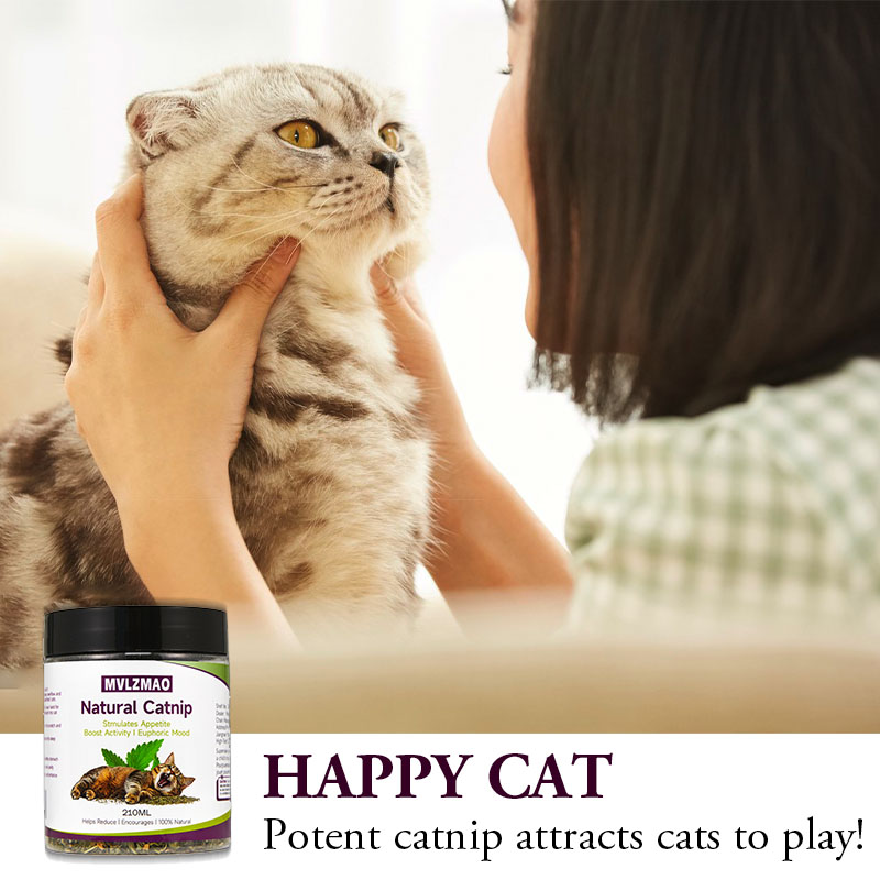 Katzenspielzeug – Silvervine-K – Nettle Leaf Tea Bewertung und Preis